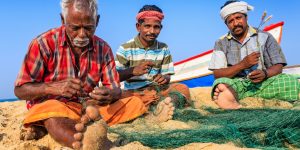 How CSCs are Casting a Net for Inclusive Growth in India’s Fisheries Sector!