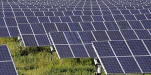 Business models are innovation engines for the Indian solar industry